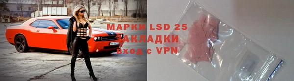 ПСИЛОЦИБИНОВЫЕ ГРИБЫ Алексин