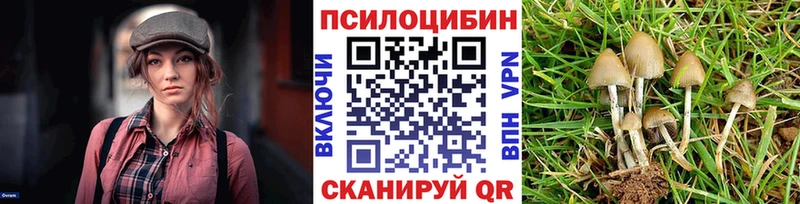 наркошоп  Ярцево  OMG сайт  Галлюциногенные грибы Psilocybe 